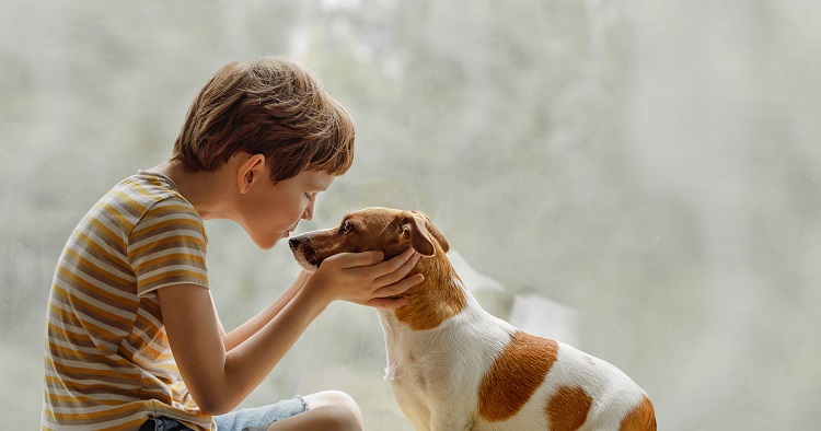 Famille Avec Enfants Comment Choisir Son Chien Famille Avec Enfants Comment Choisir Son Chien