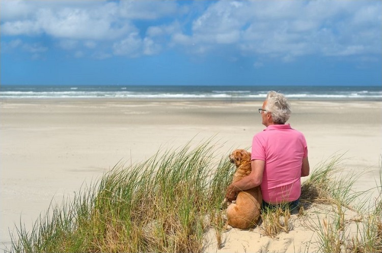 Choix, chien, personne âgée, animal domestique, animal de compagnie