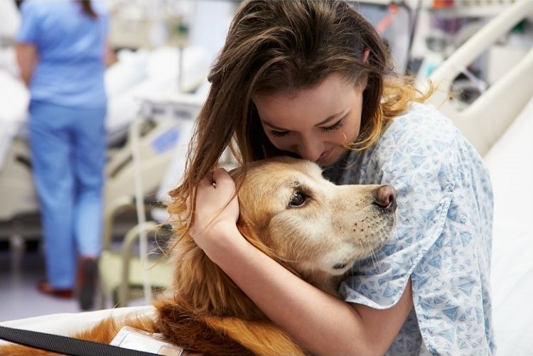 fibromyalgie chien therapie