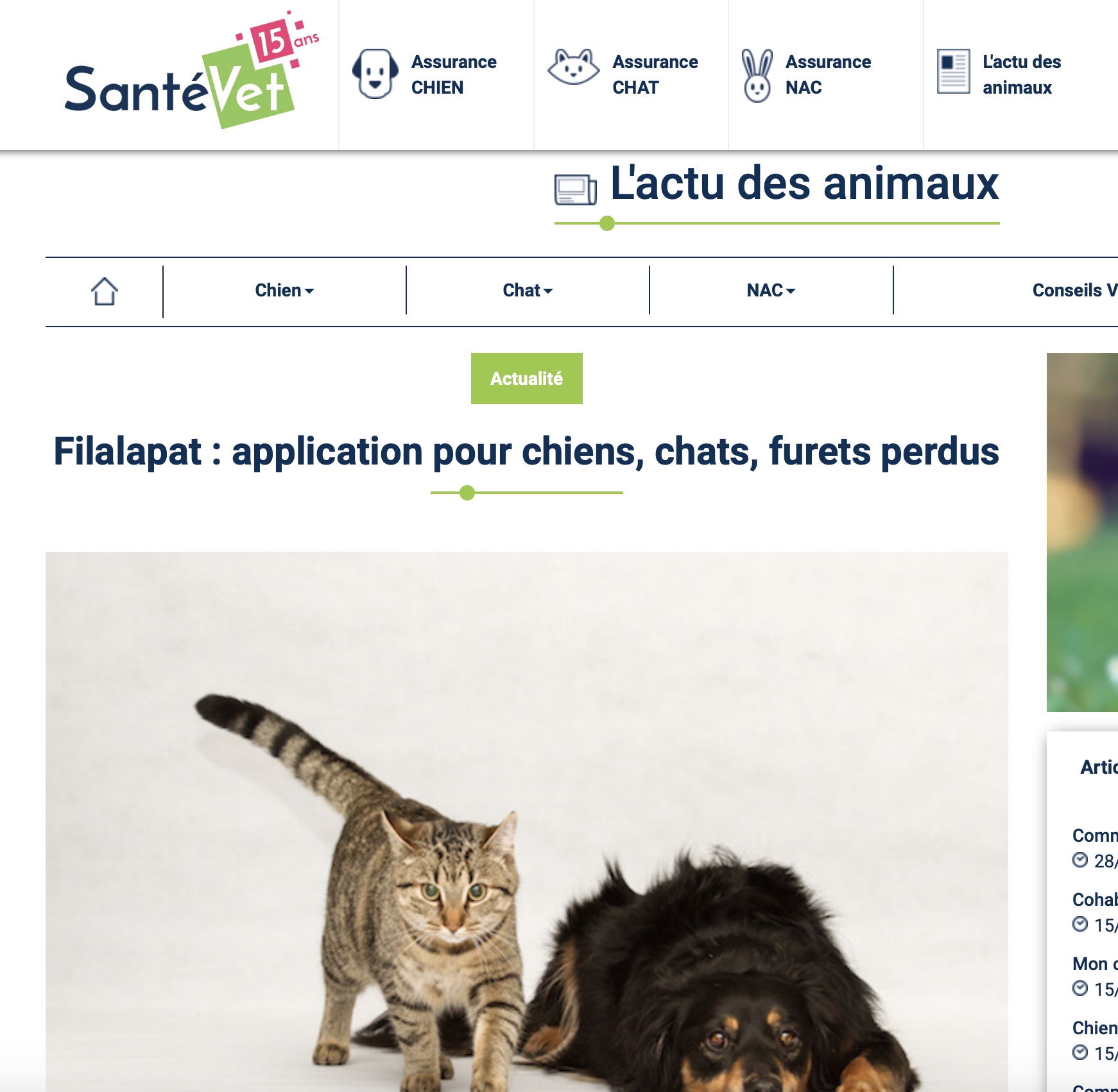 sante vet
