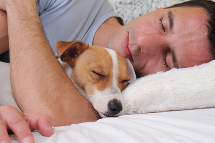 dormir avec son chien