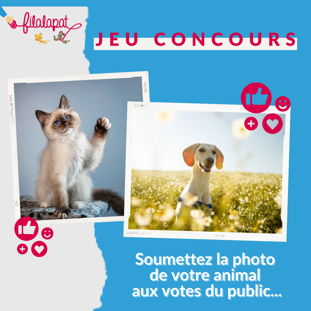 Jeu concours
