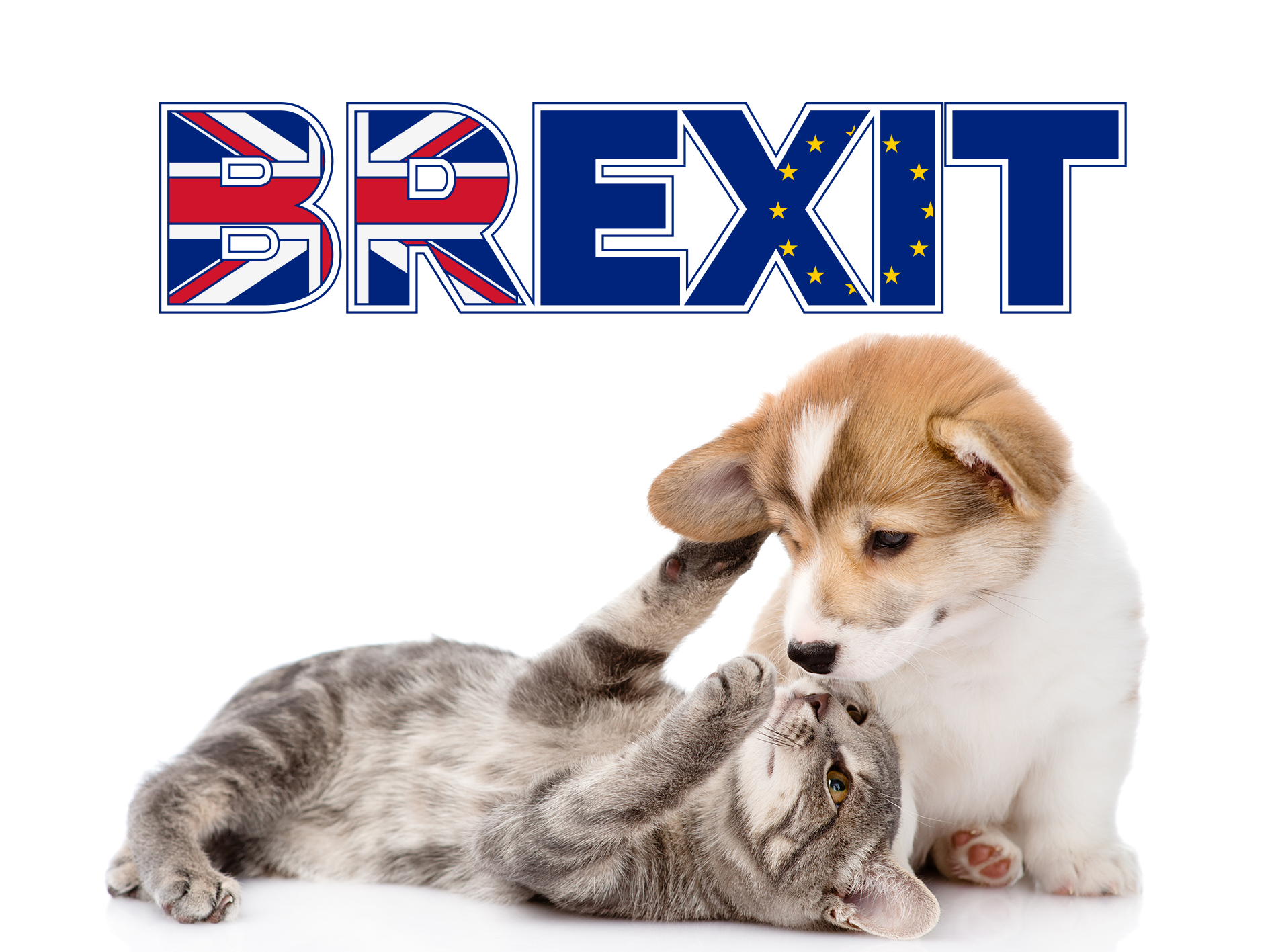 brexit animaux