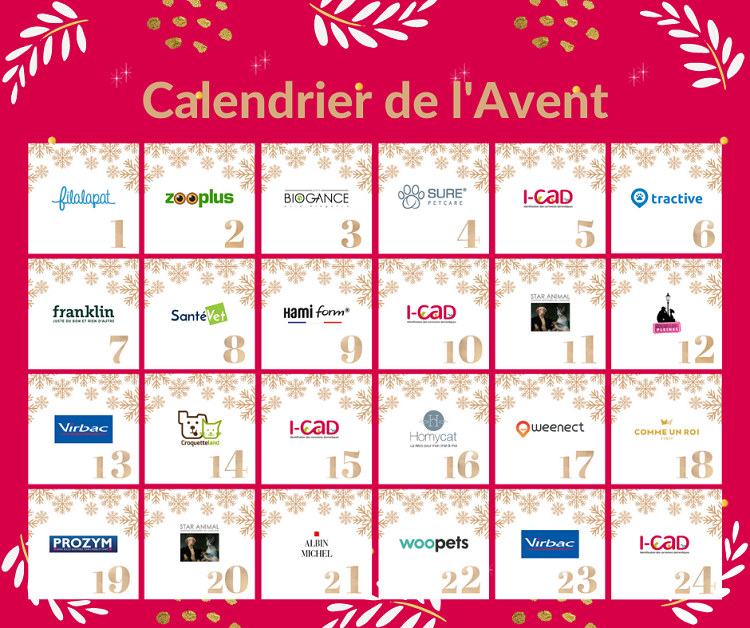 visuel calendrier avent