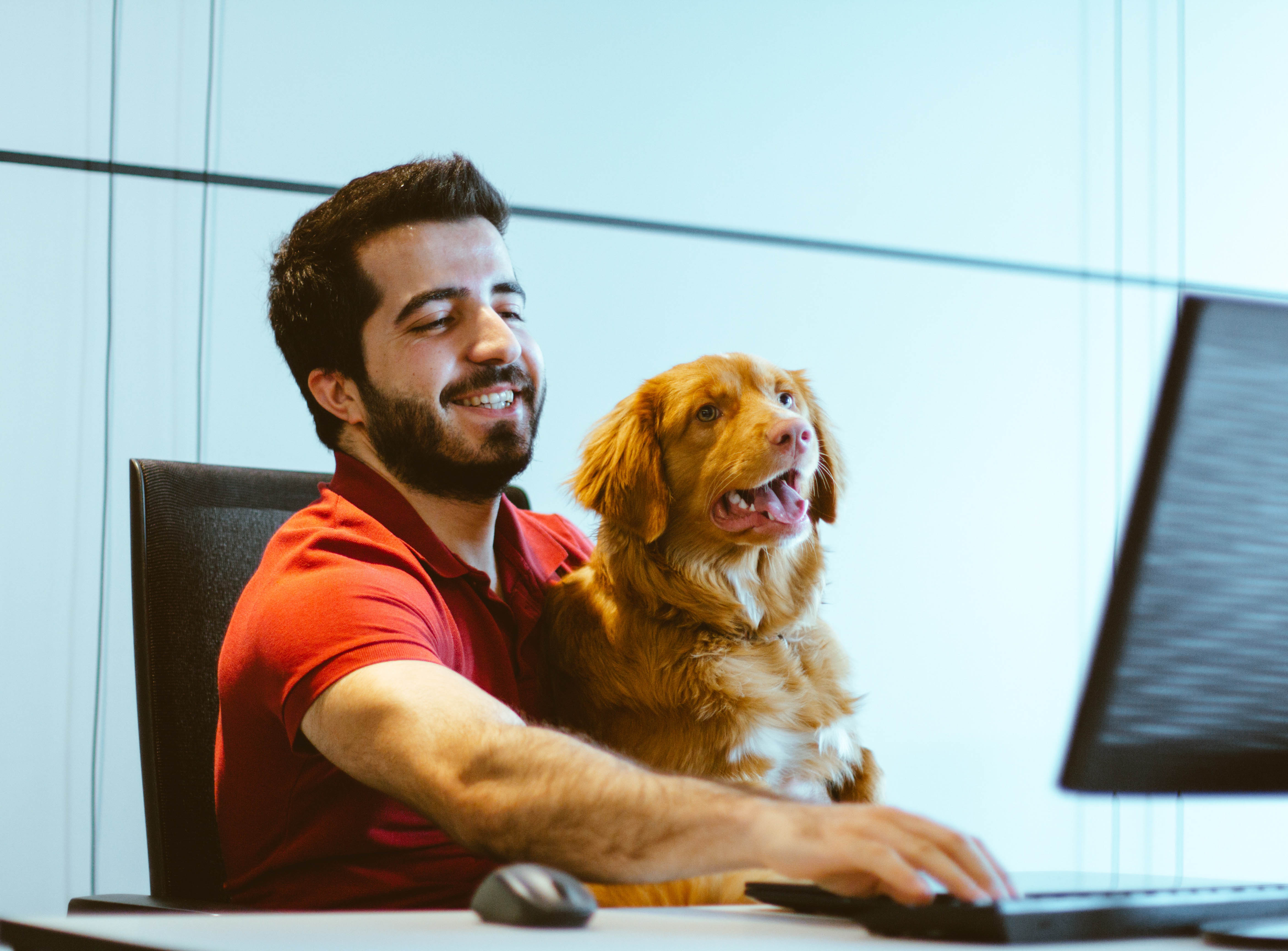 Un chien devant un écran