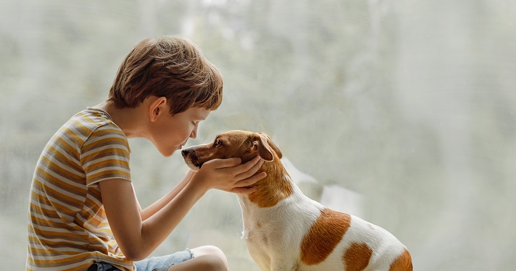 Famille, enfants, choix, chien, race