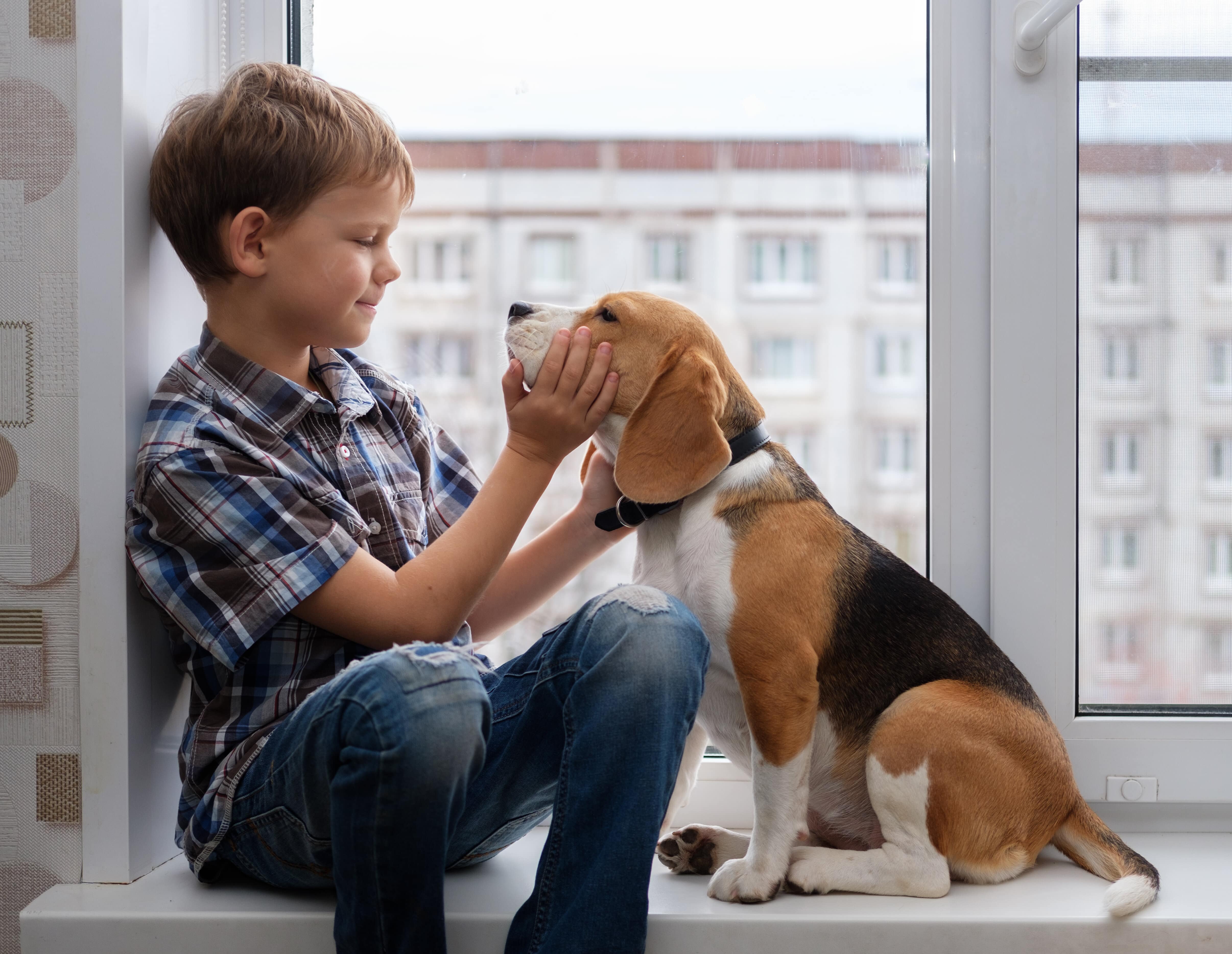 chien appartement