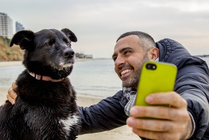 selfie chien