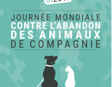 journée mondiale contre abandon 