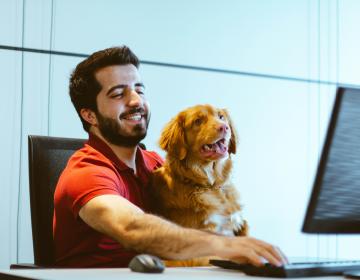 Un chien devant un écran