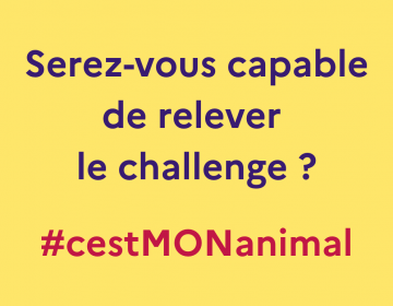 challenge