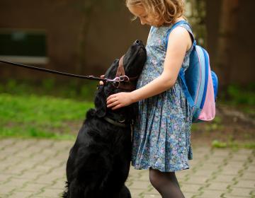 rentree animaux 