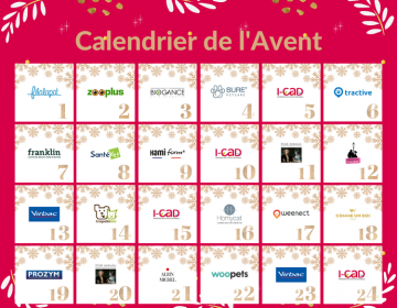 calendrier avent