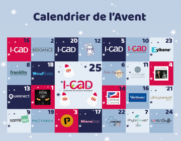 Calendrier de l’Avent I-CAD 